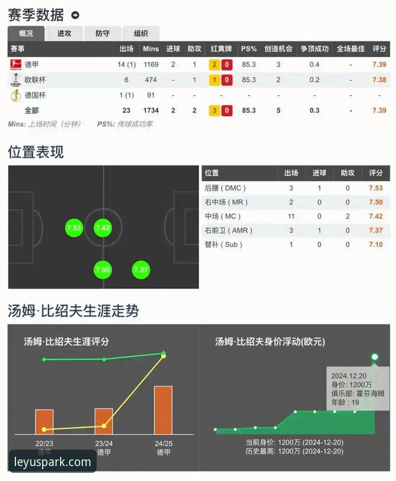 乐鱼体育数据全面解析：从赛事直播到竞猜决策的深度洞察